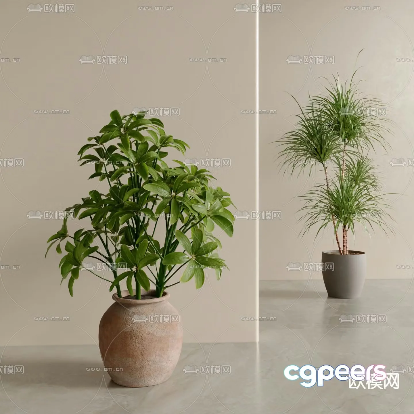 Green plant potted bonsai 3d model