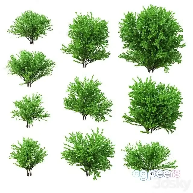 3ds Max Free – A set of bushes. 10 models. v2