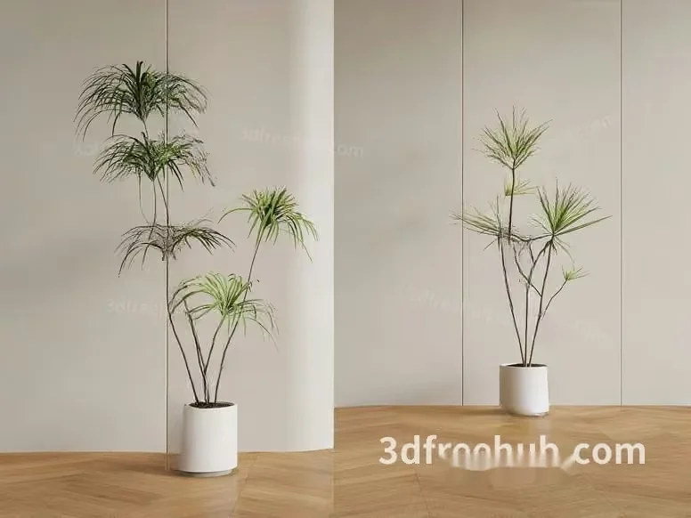 Modern House Plants 3D Model – 21965 – VRAY Render