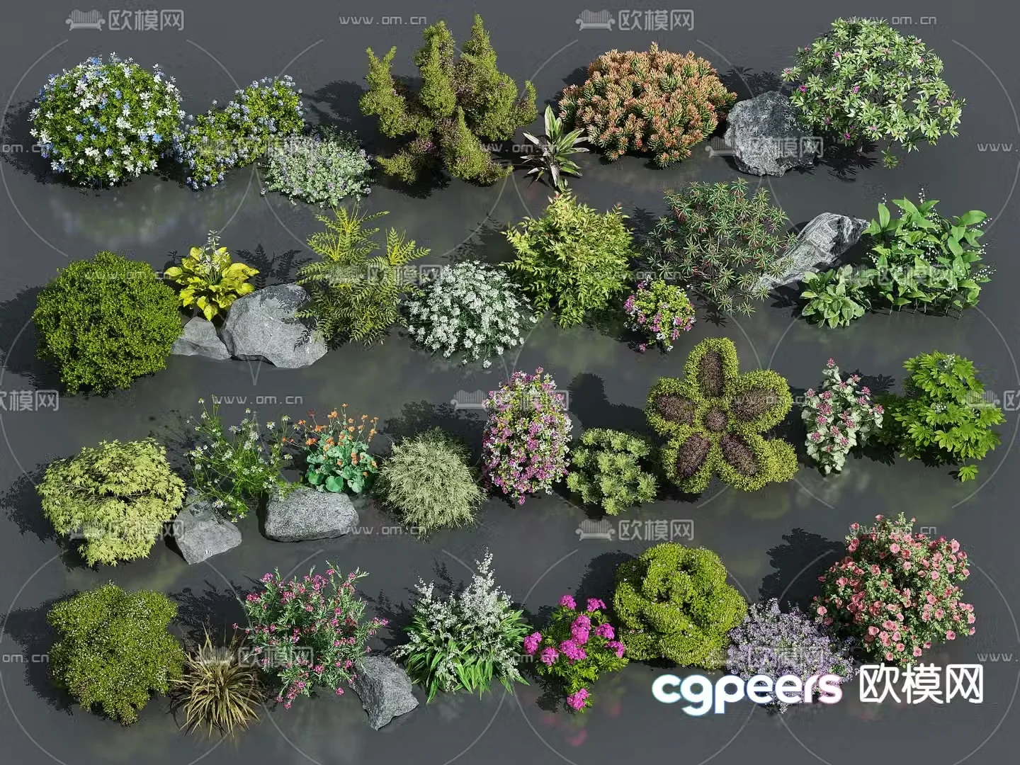 Flowers and plants Flowers and shrubs Plants 3d model