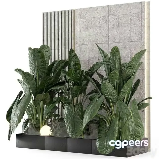 3ds Max Free – Indoor Wall Big Green Leaf Garden in Concrete Base – Set 1770