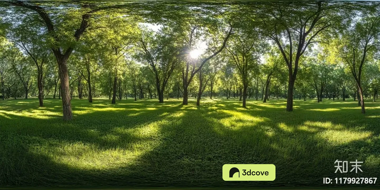 A Forest Scene With Green Trees