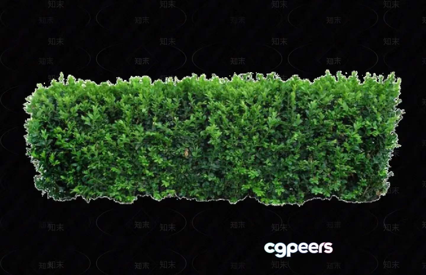 A Green Hedge 3D Model – 5633 – VRAY Render