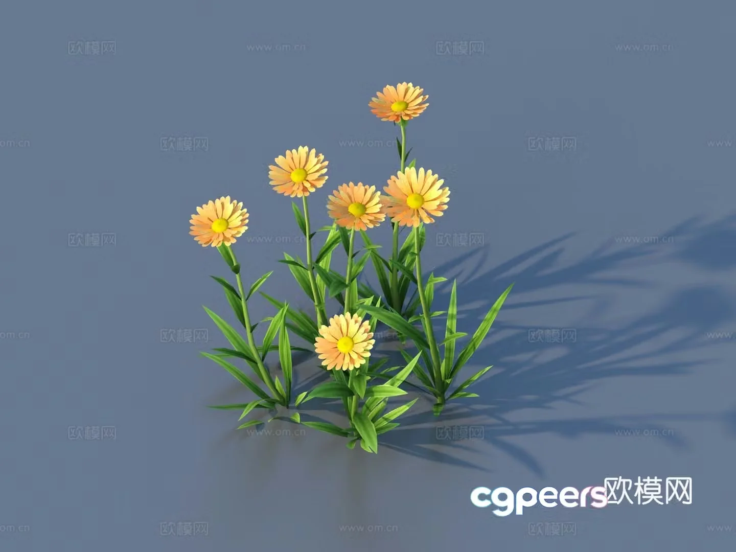 Flowers Wild Flowers Green Plants Flowers 3D Model