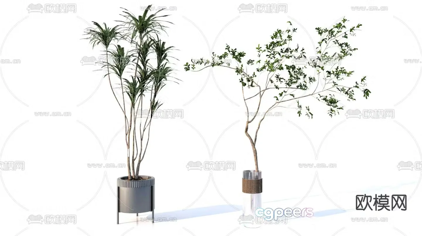 Landscape tree branches potted 3d model