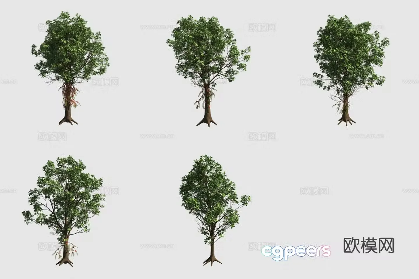 Cannonball Tree Cannonball Flower Street Tree 3D Model