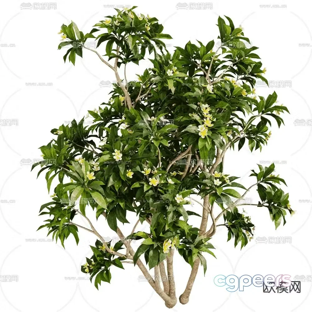 Landscape tree Flower tree Shrub 3d model