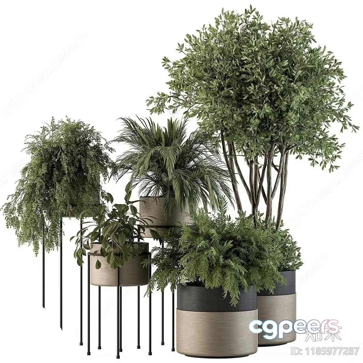 Greenery In Planters 3D Model – 9839 – VRAY Render