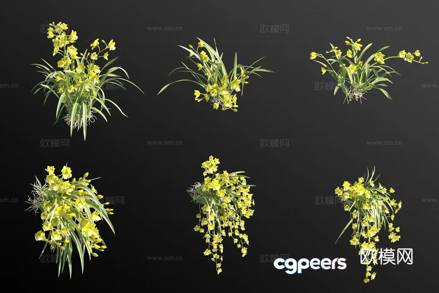 Green Catlan Flowers and Grass 3D Model