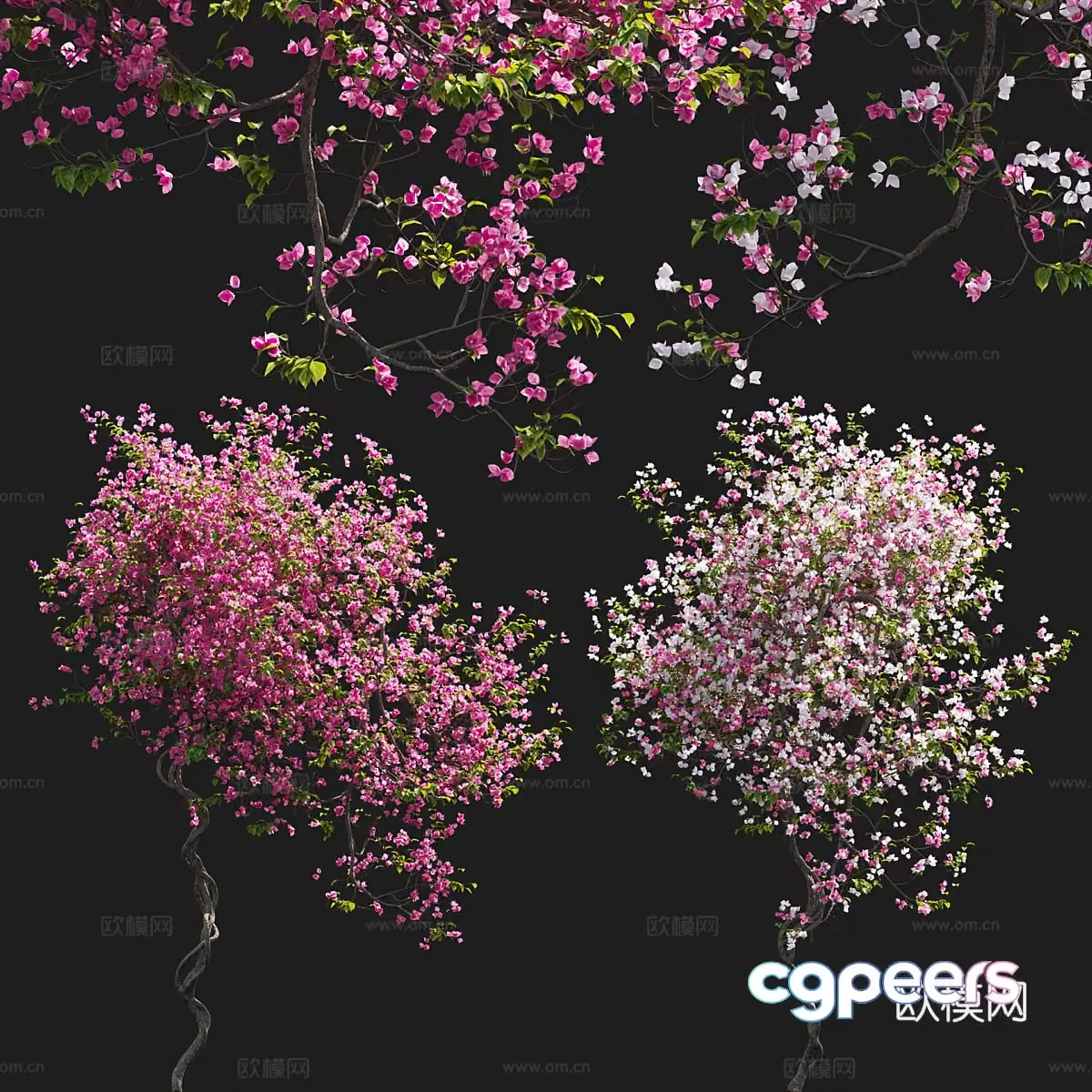 A Tree With Pink Flowers 3D Model – 17089 – VRAY Render