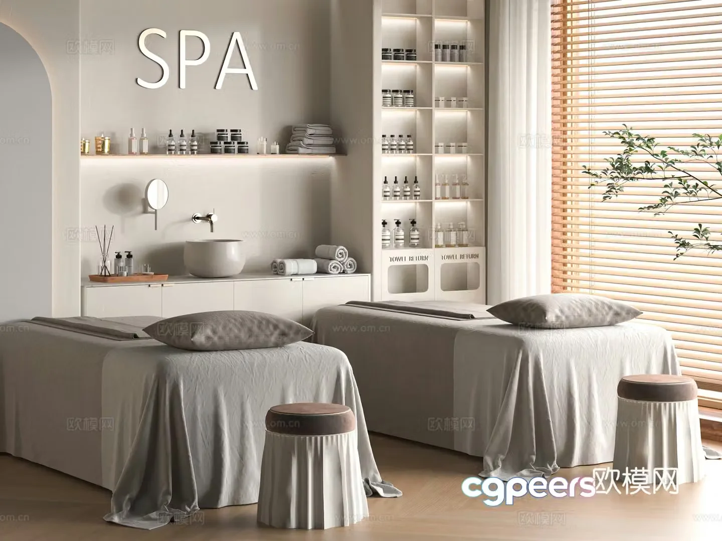 Modern Beauty SPA3d Model