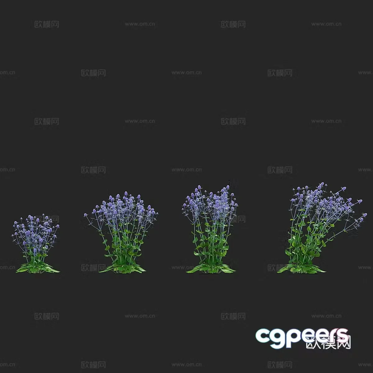 3d model of bush