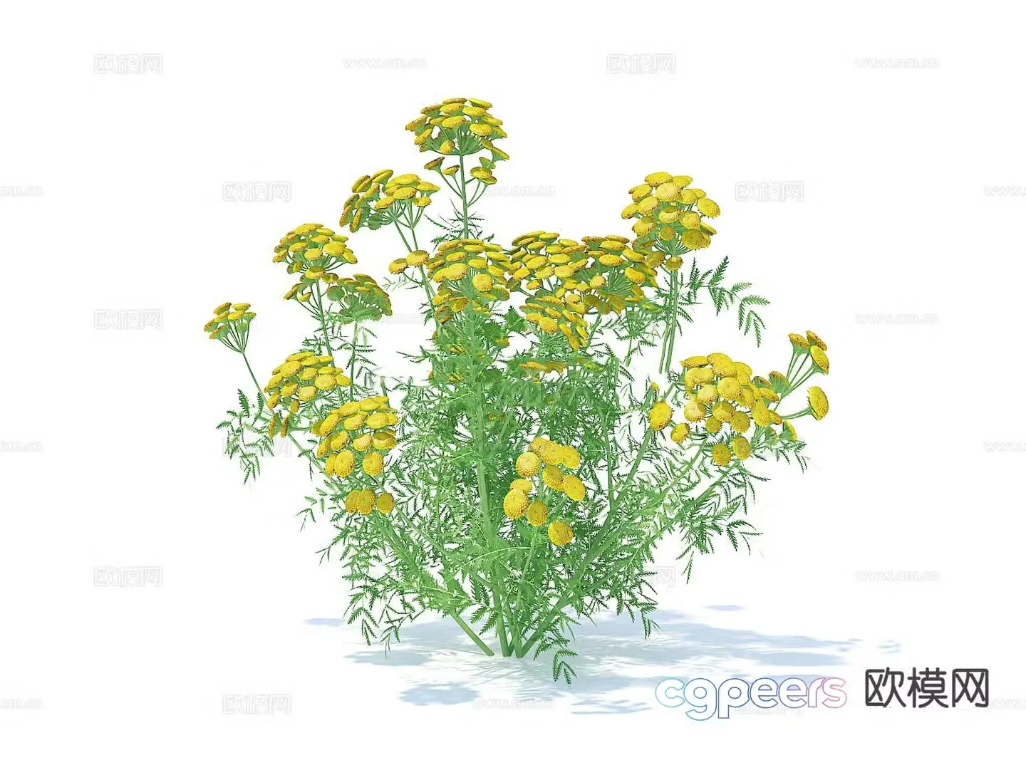 Flowers flowers plants yellow flowers bouquet 3d model