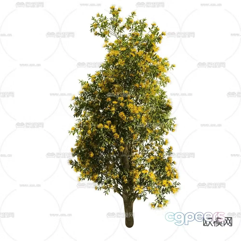 Landscape tree shrub plant 3d model