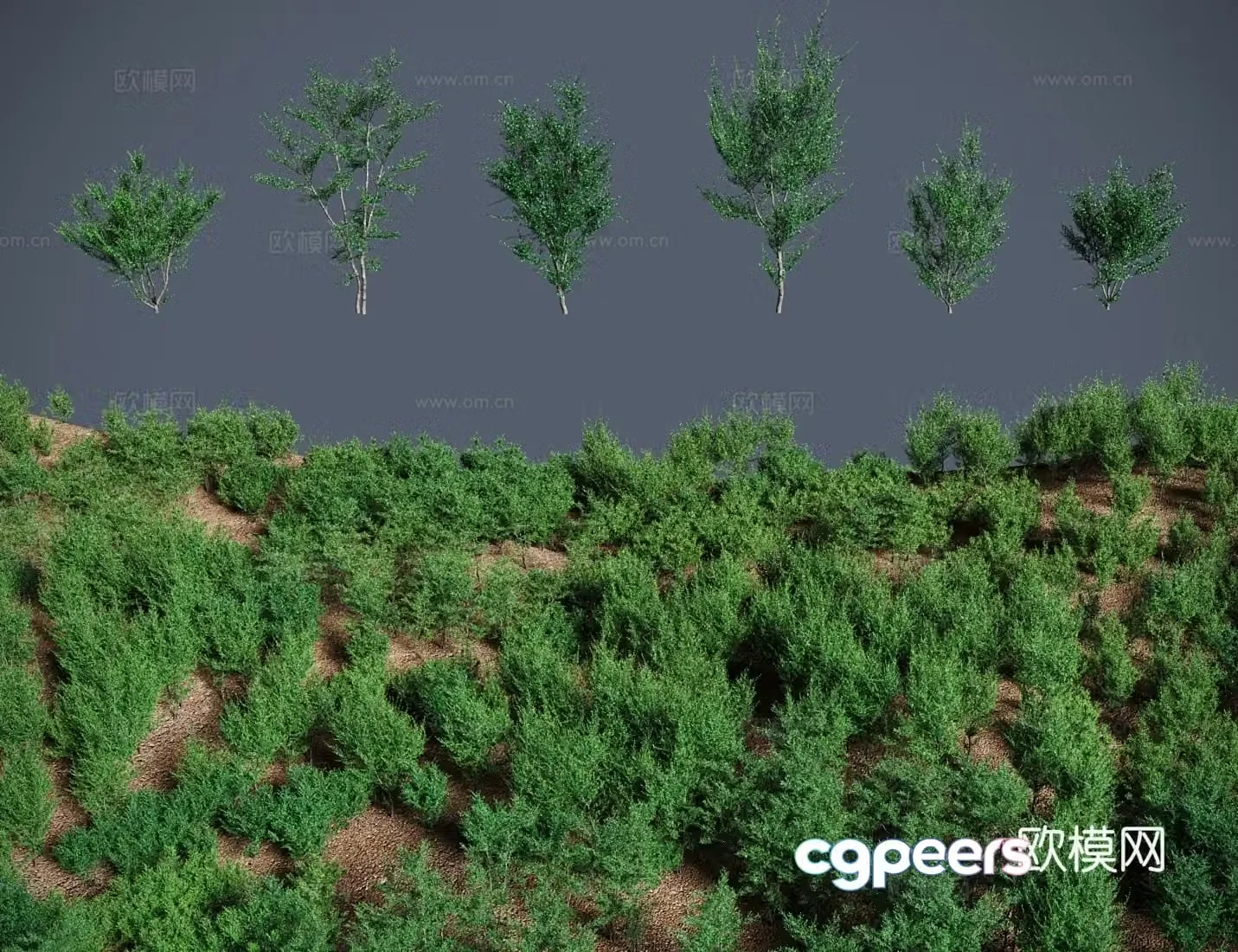 Modern landscape tree shrub small leaf golden oak small tree 3d model