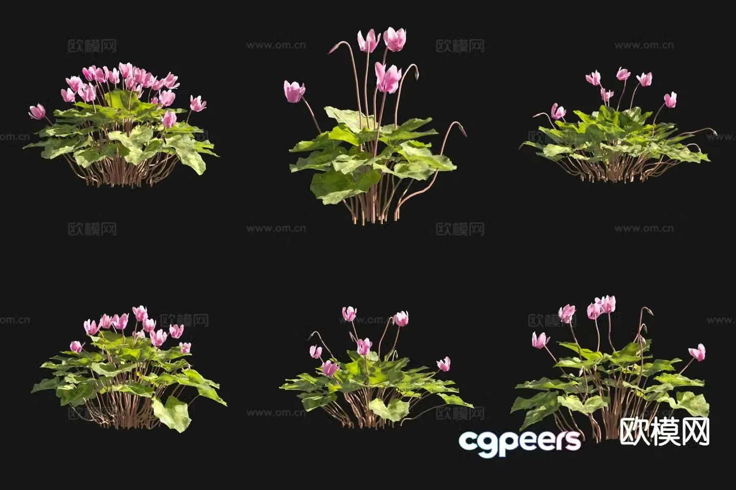 Flowers and plants Cyclops Flowers and plants 3D model