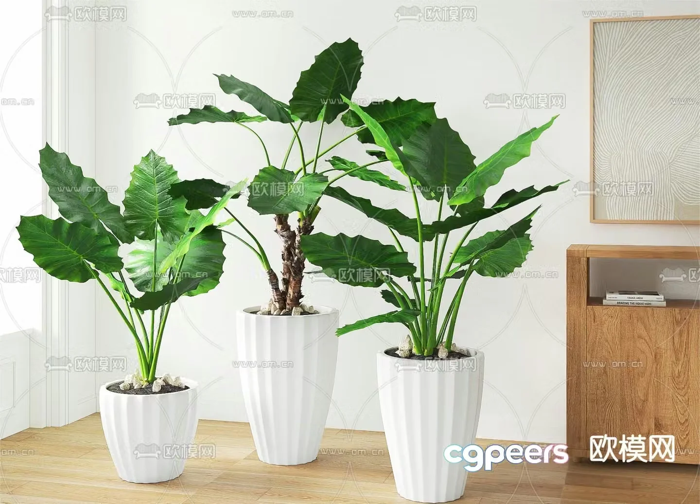 potted bonsai green plant 3d model