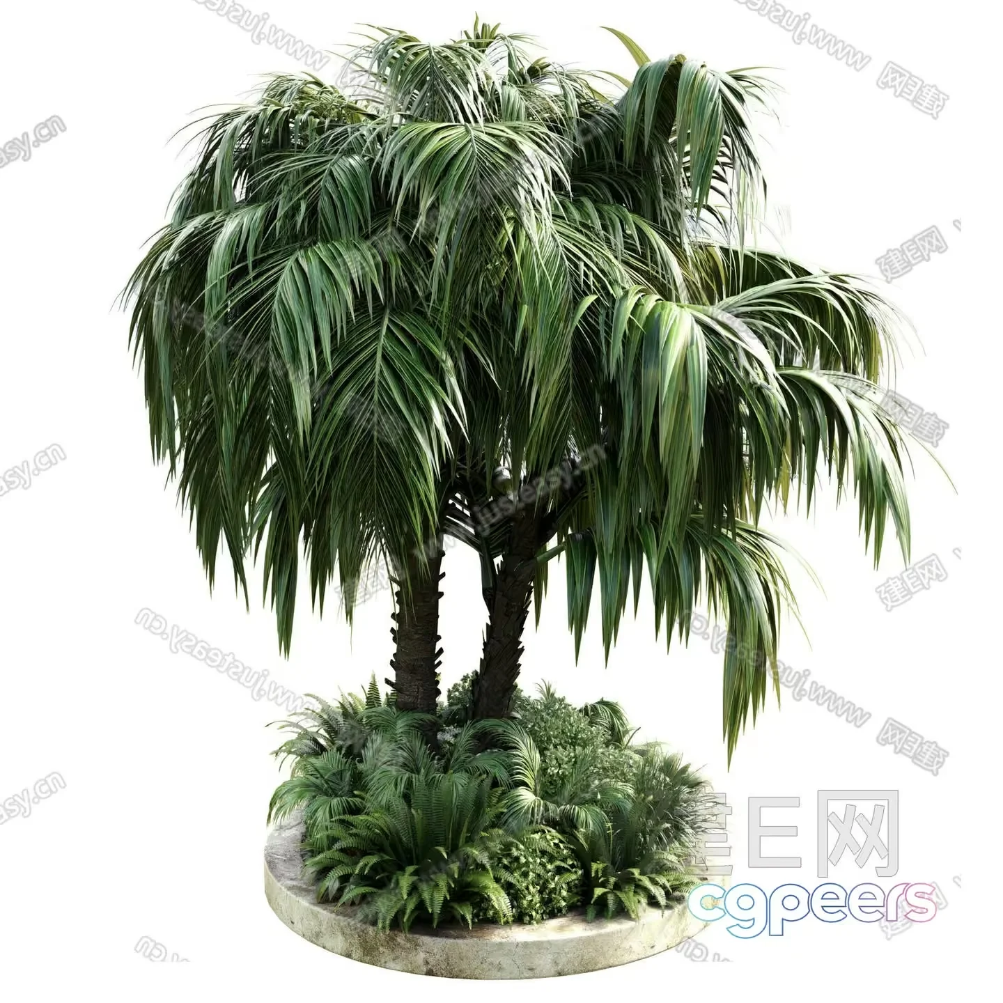 A Palm Tree With Green Leaves 3D Model – 23491 – VRAY Render