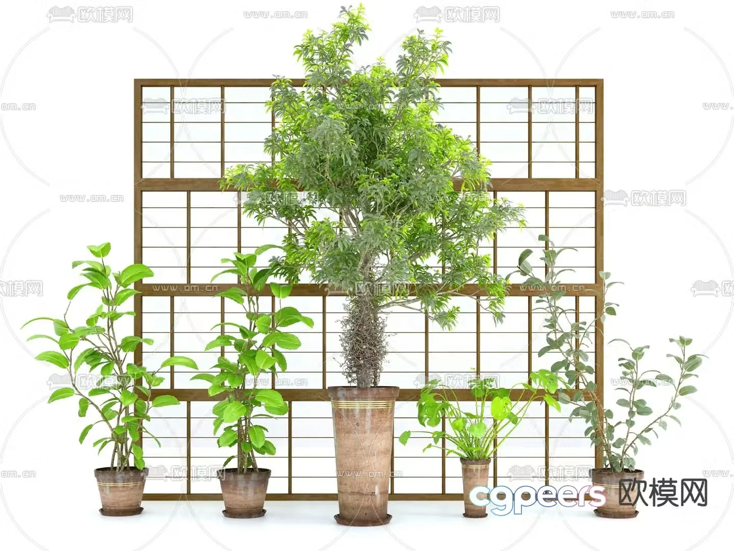 Potted plants Bonsai Green plants 3D model