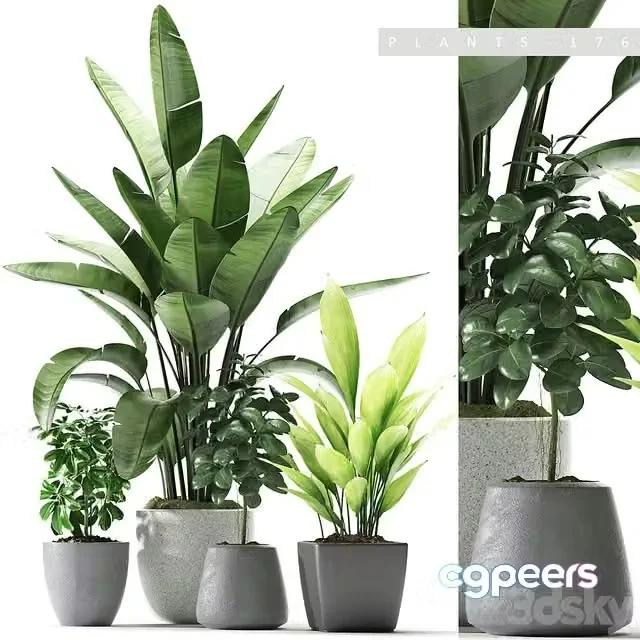 3ds Max Free – Plants 176