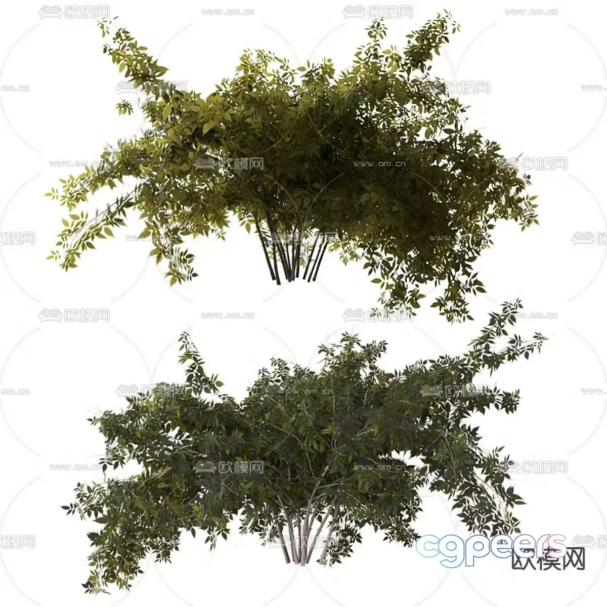 Trees Shrub Landscape Trees 3d Model