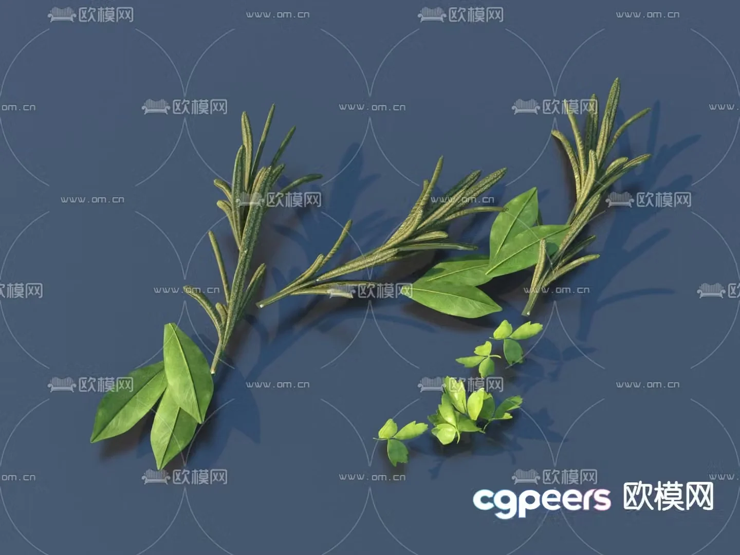 Side dishes Vegetables Coriander 3d model