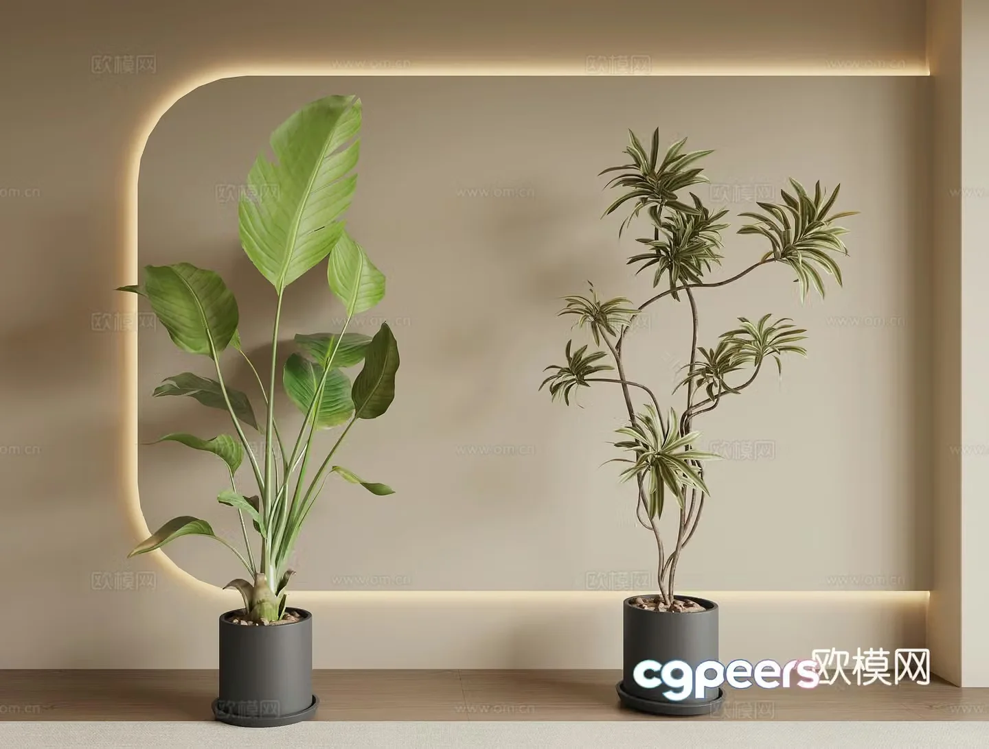 Modern green plant potted 3D model