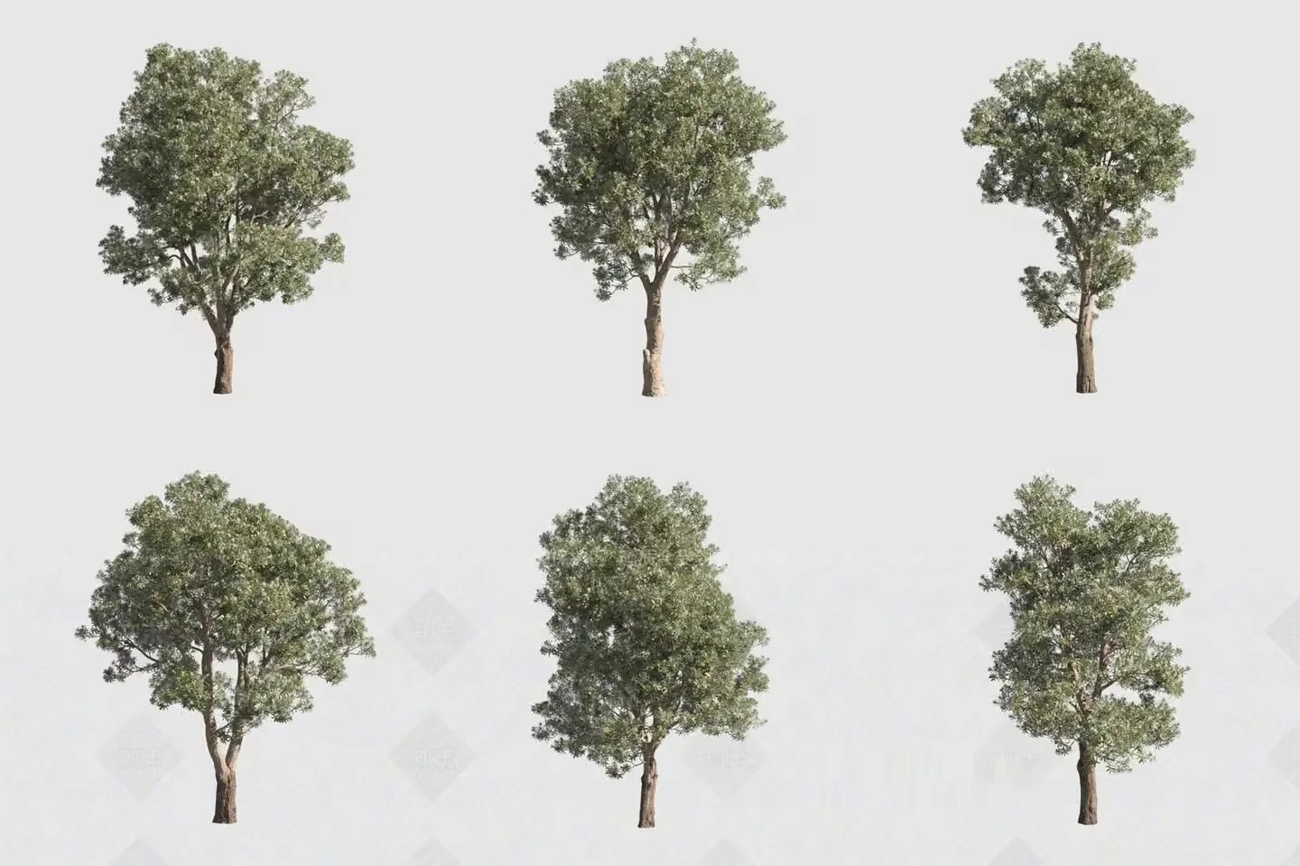 Trees. The Trees Are Green 3D Model – 14587 – VRAY Render
