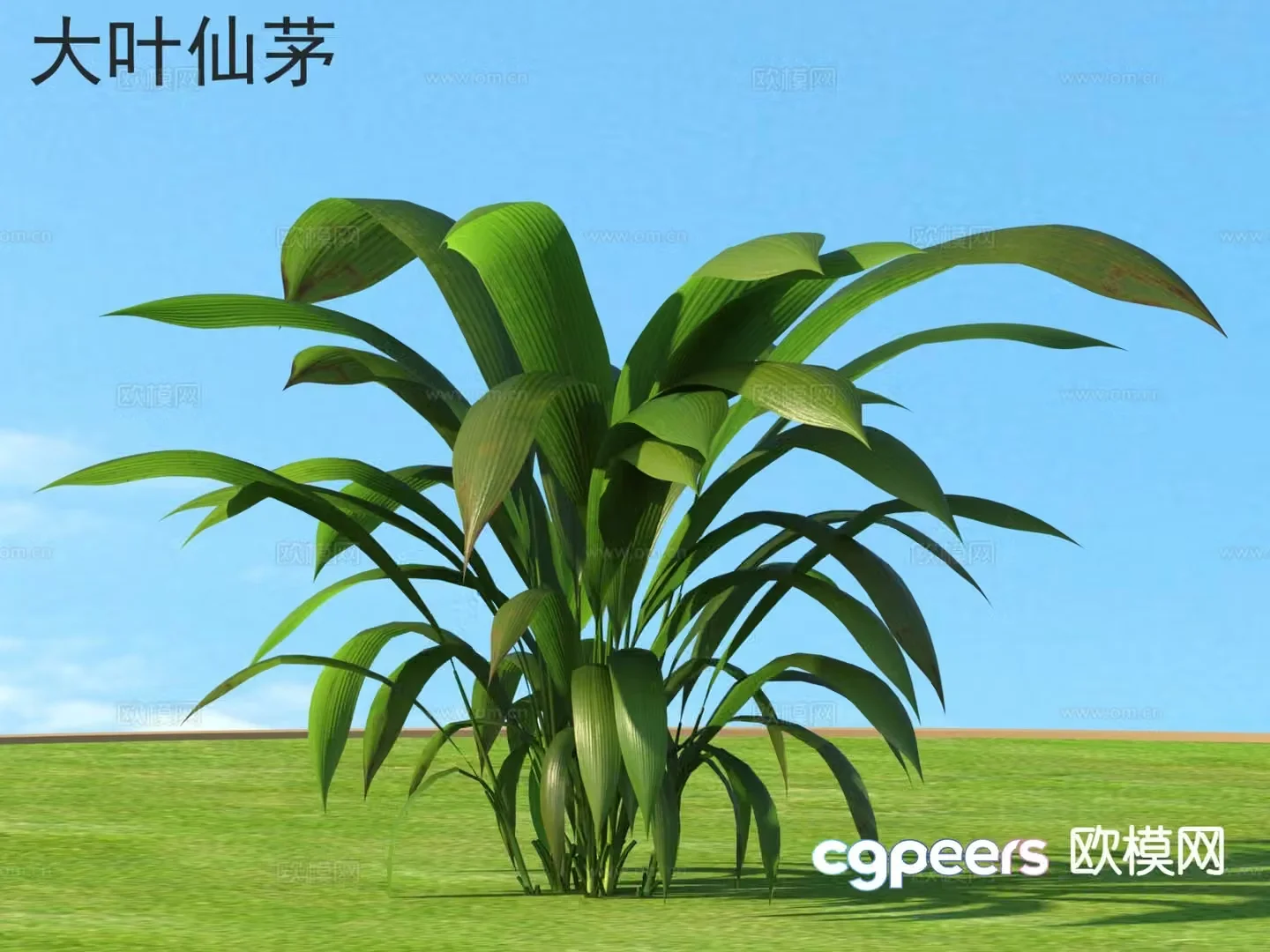 Big Leaf Fairy Flowers Grass and Shrubs Plants 3D Model