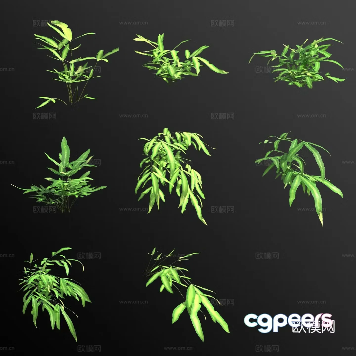 3D model of sword-leaf fern flower and grass