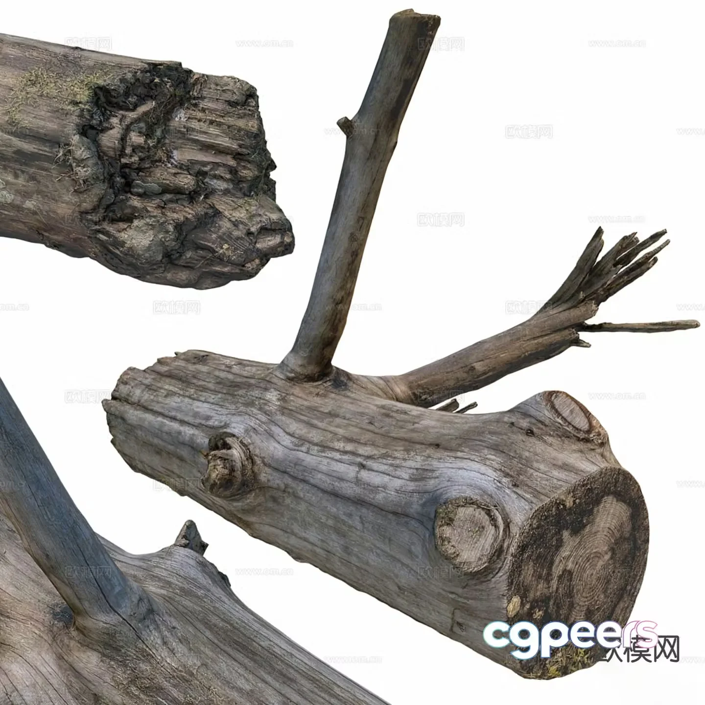 wood stump tree root 3d model