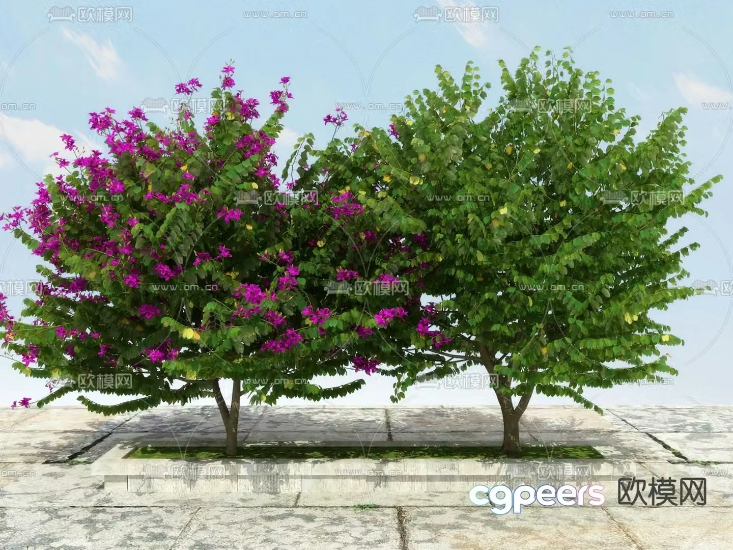 Landscape tree tree hair tree 3d model
