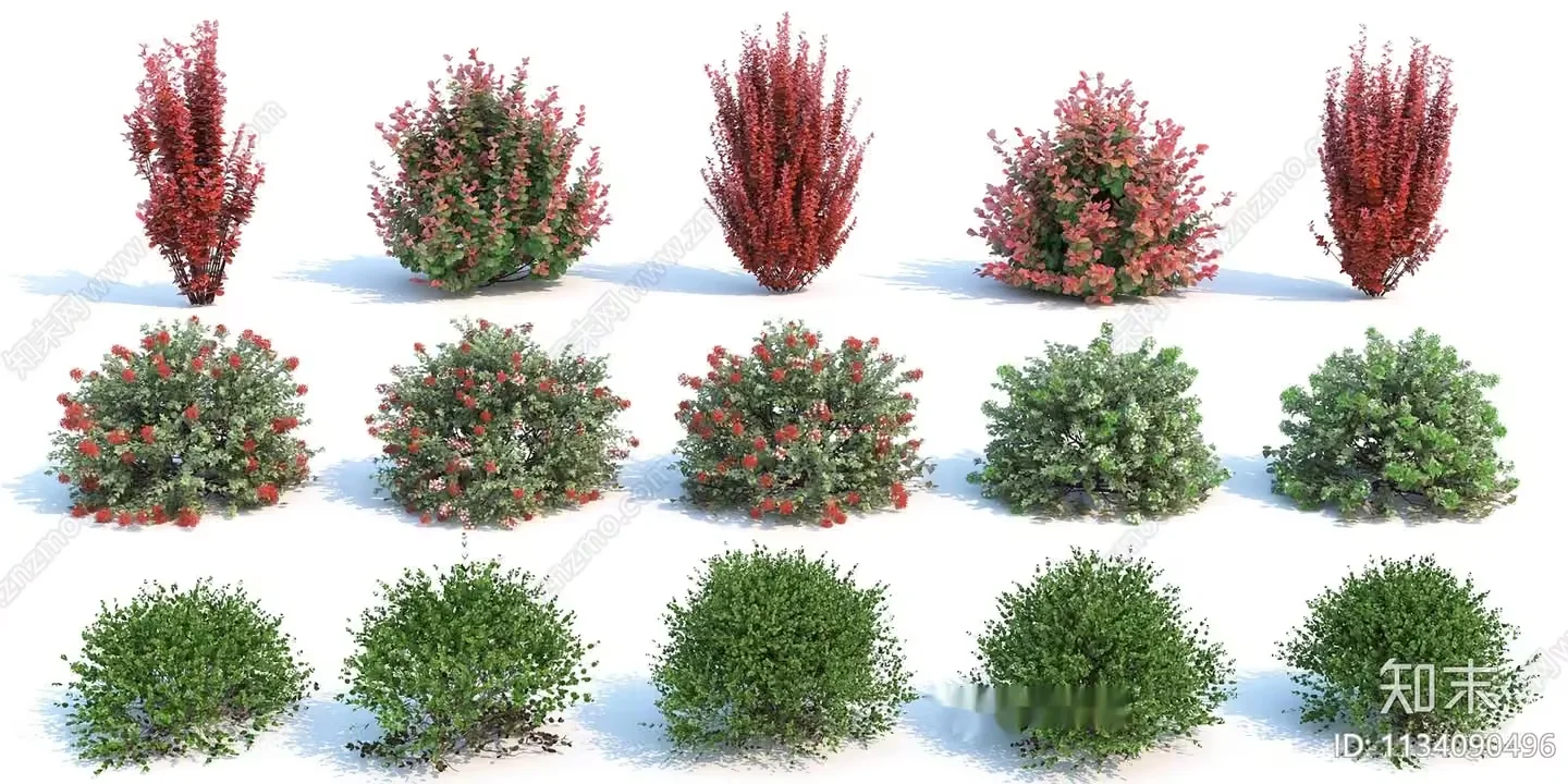 Bushes With Green And Red Leaves 3D Model – 4940 – VRAY Render
