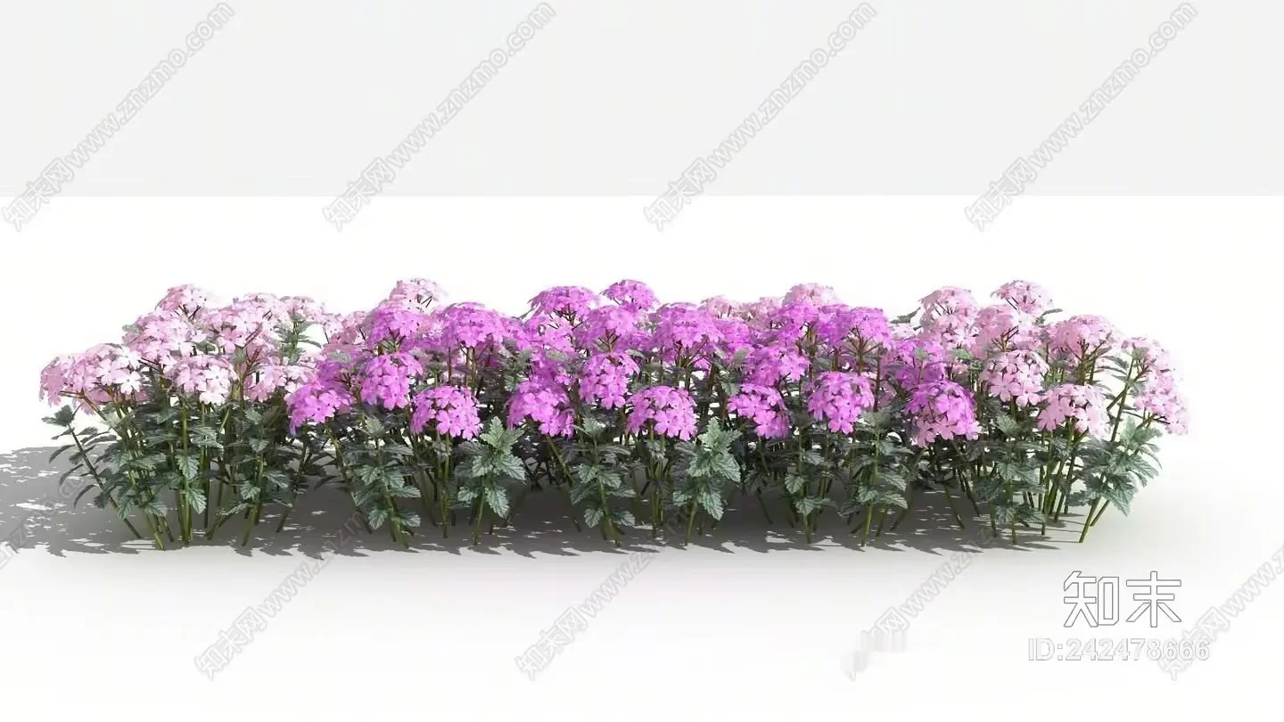 A Cluster Of Purple Flowers 3D Model – 18333 – VRAY Render