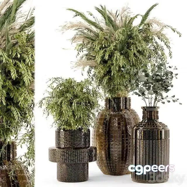 3ds Max Free – Collection Indoor Plants in Glass Pots – Set 701