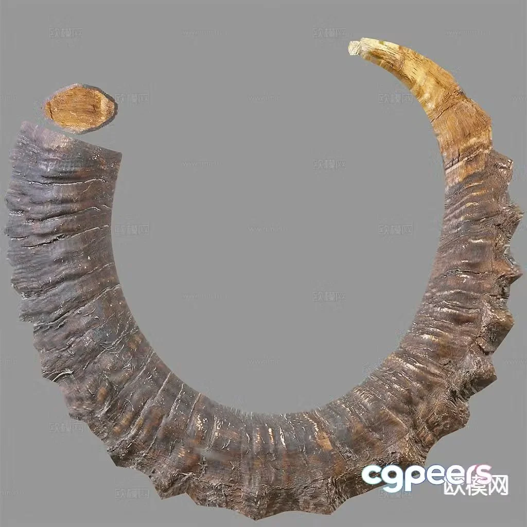 horn wood ornament 3d model