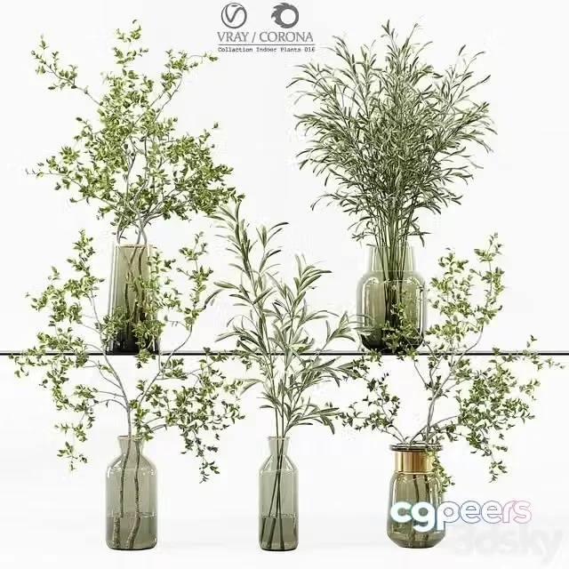 3ds Max Free – Collaction Indoor Plants 016