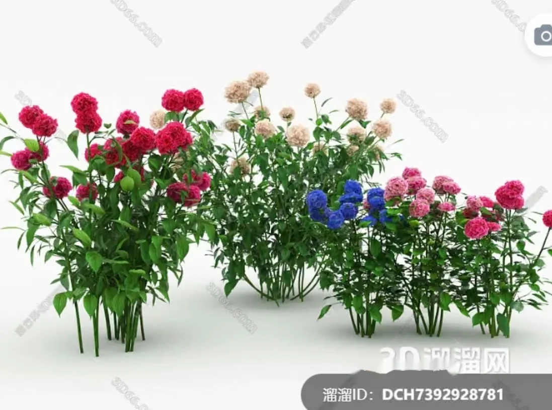 A Bouquet Of Flowers 3D Model – 18460 – VRAY Render