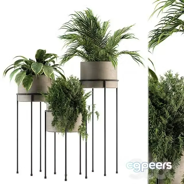 3ds Max Free – Plant Set 129 – Plant Stand