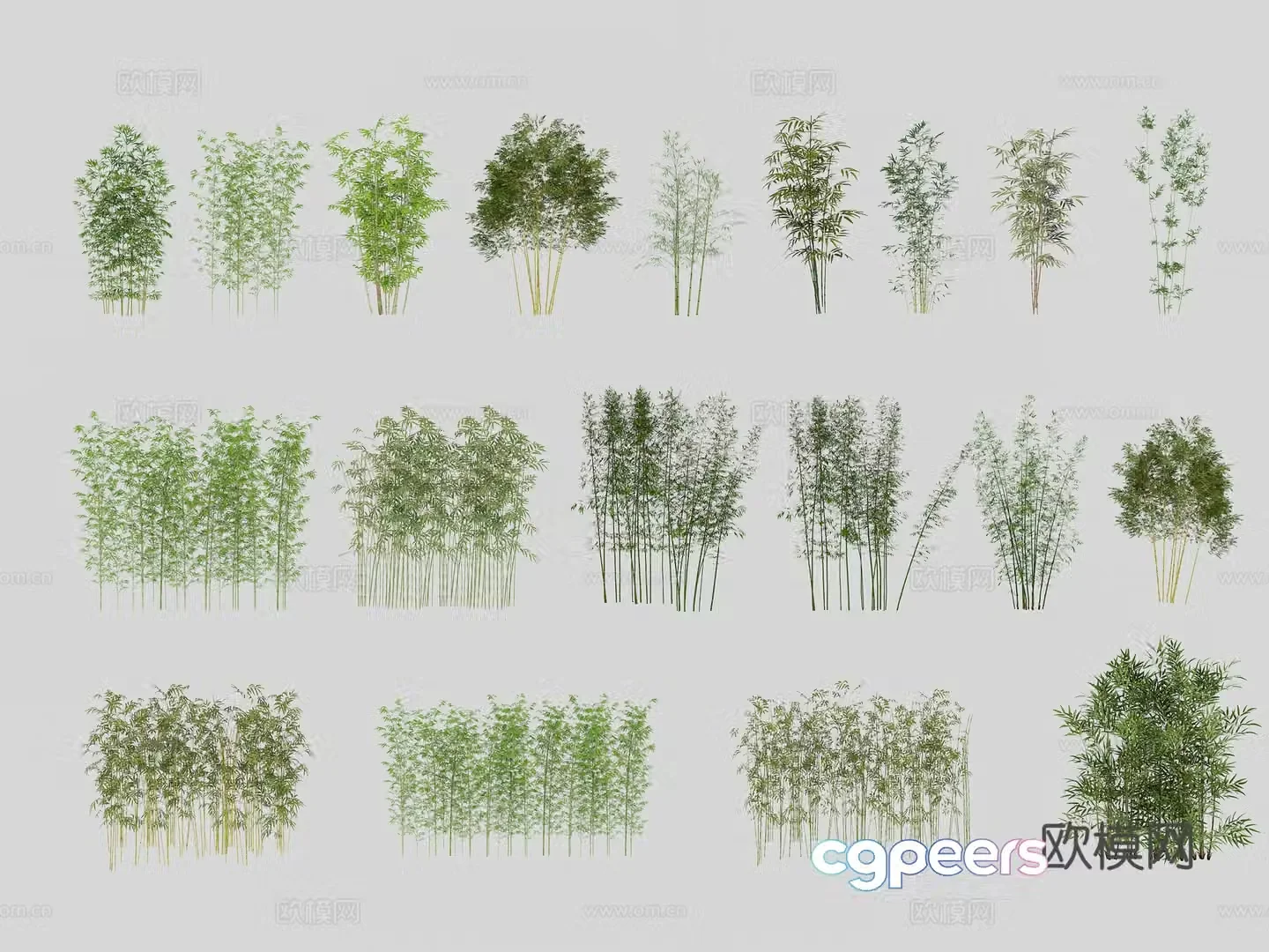 Bamboo Bamboo Landscape Bamboo Garden Bamboo 3D Model