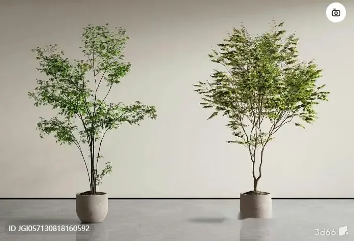 Two Potted Plants 3D Model – 12647 – VRAY Render