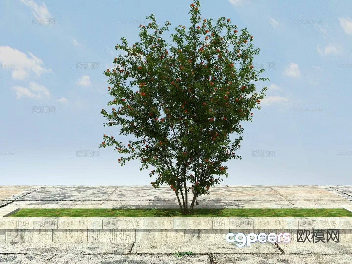 Landscape tree Big tree Pomegranate tree 3d model