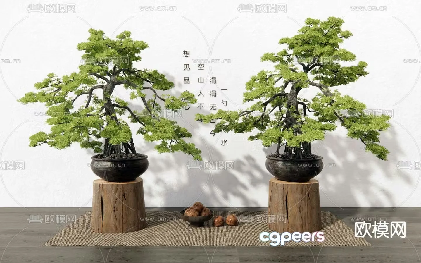 New Chinese style bonsai pine bonsai 3D model