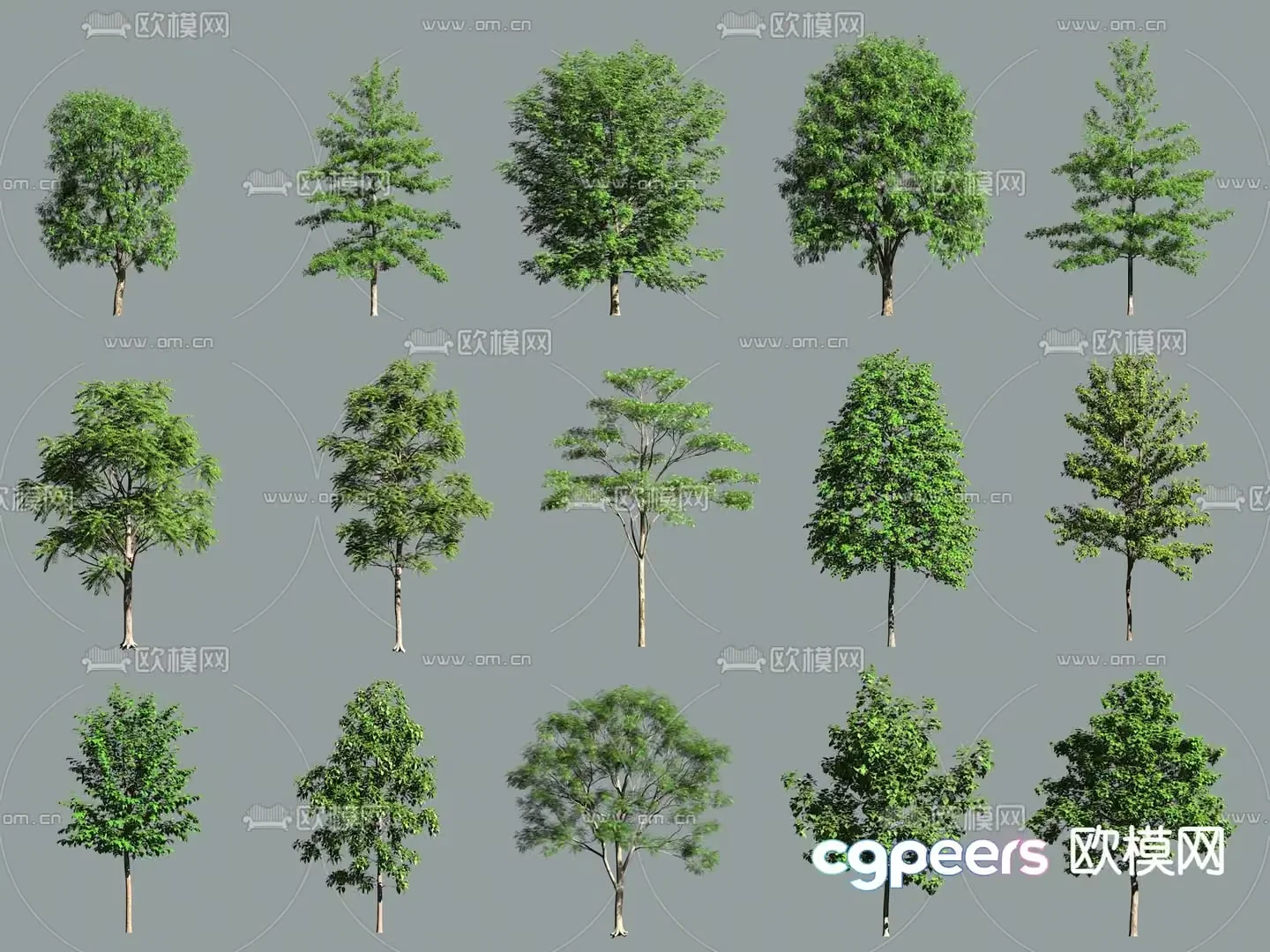 A Collection Of Trees 3D Model – 12203 – VRAY Render