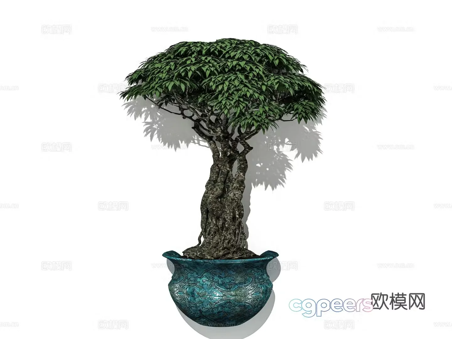 Chinese potted plants bonsai shape privet small leaf red sandalwood melon seed boxwood combination 3D model