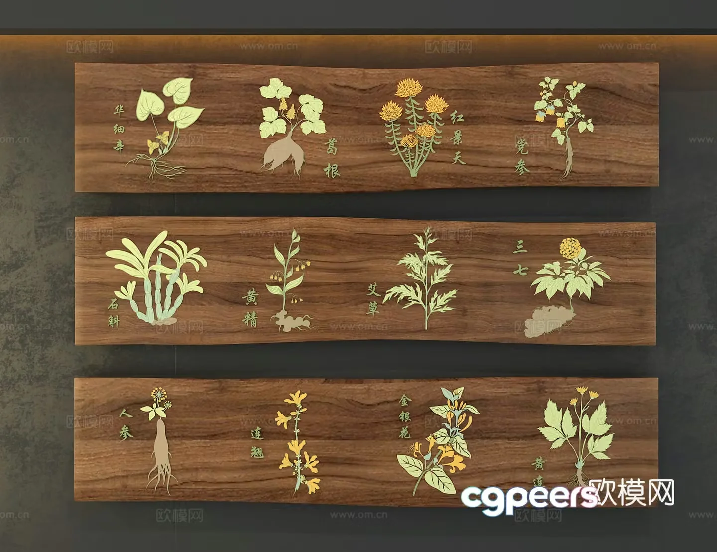 Herbal Specimen 3D Model