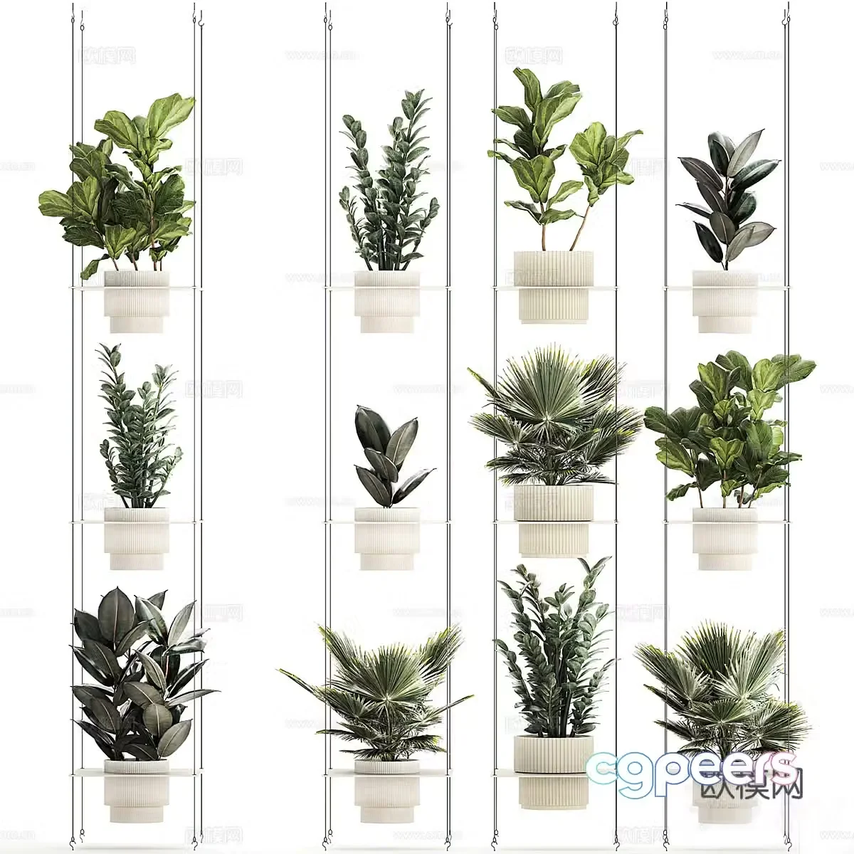 Plant Collection 14293d Model