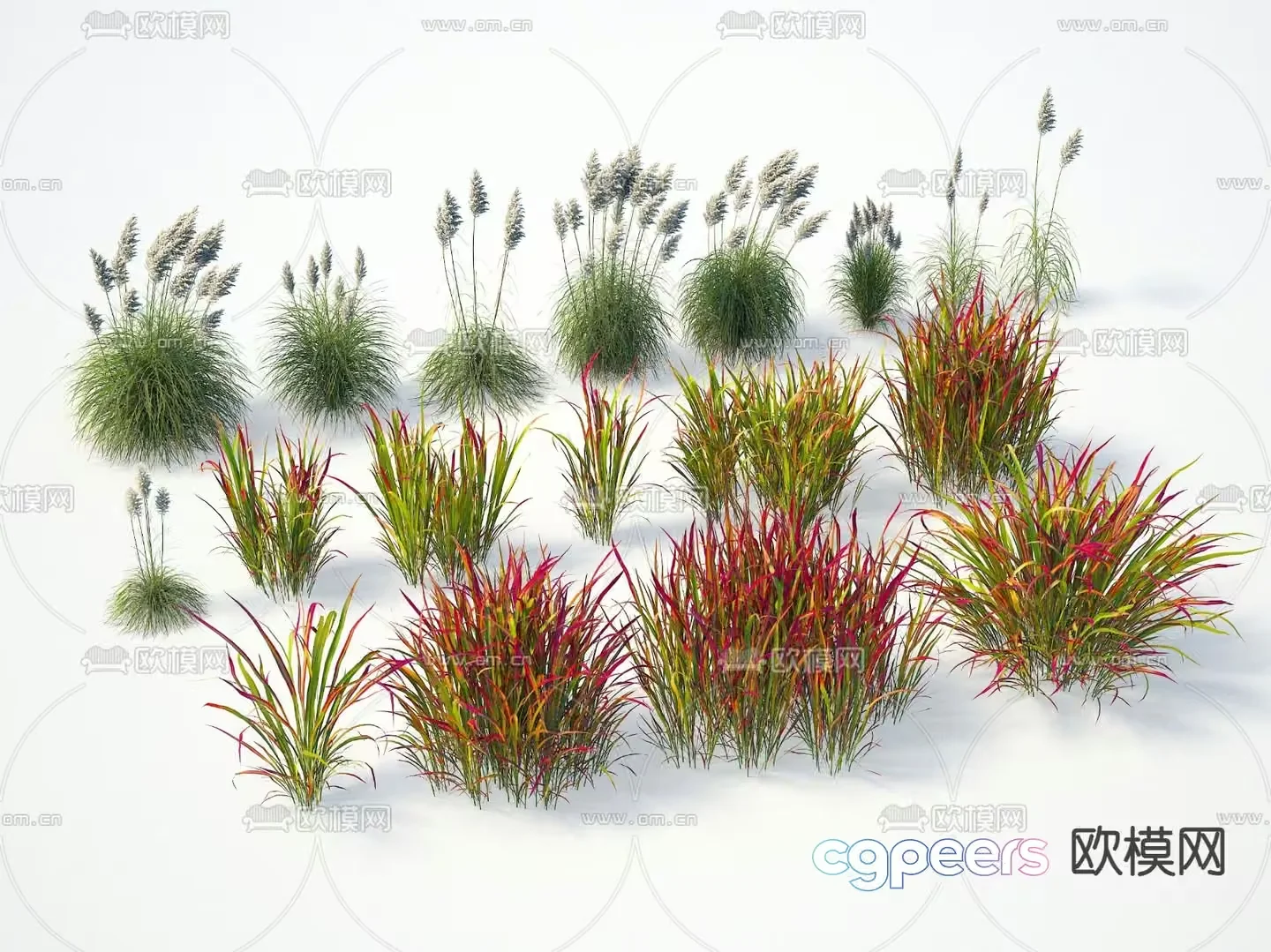 A Collection Of Grasses 3D Model – 18826 – VRAY Render