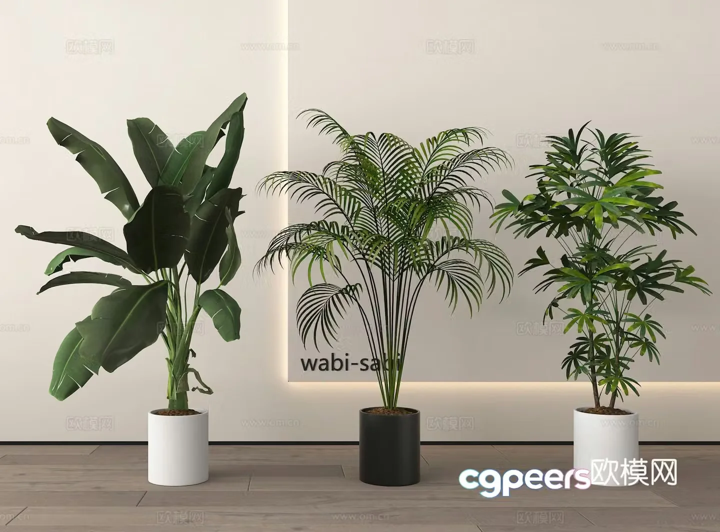 Modern potted plants bonsai green plants 3d model