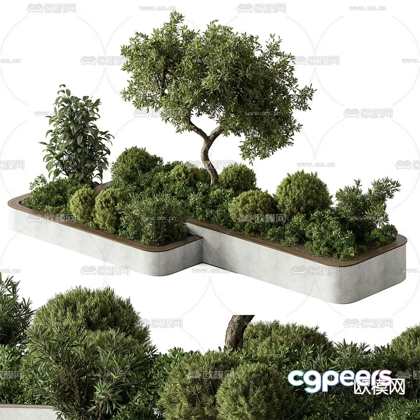Tree Pool Viewing Tree Bar Green Plant 3D Model